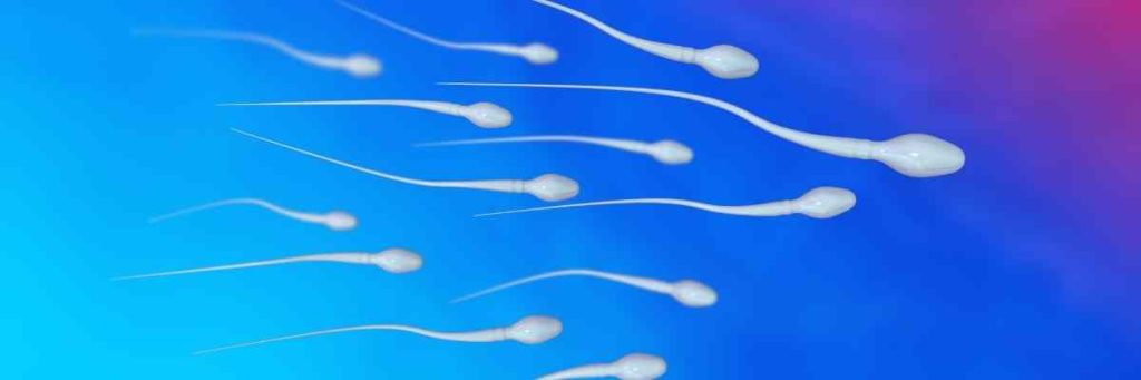 Sperm Testi